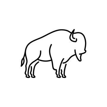 Buffalo Outline Drawing