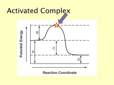 PPT - Rates of Reaction & Equilibrium PowerPoint Presentation, free download - ID:5783086