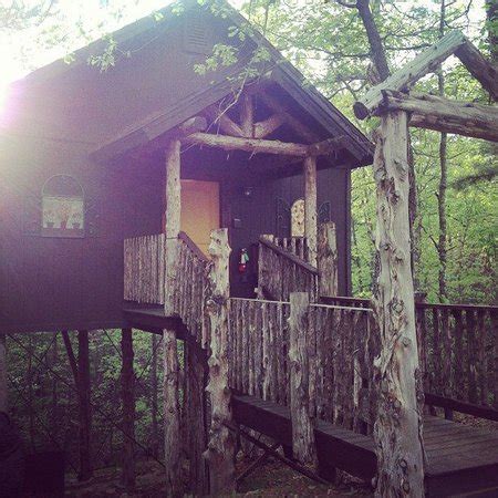 Eureka Springs Treehouses - UPDATED 2018 Prices & Specialty Inn Reviews (AR) - TripAdvisor