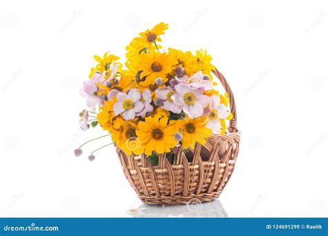 Bouquet Of Yellow Big Daisies Isolated On White Stock Image - Image of blossom, happy: 124691299