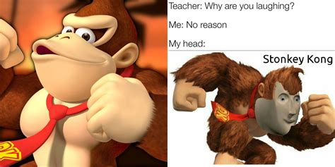 Donkey Kong: 10 Hilarious Memes - NEWSTARS Education