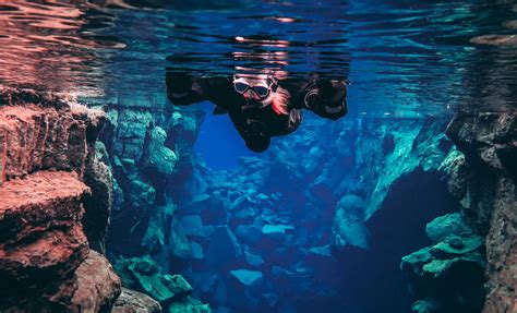 Snorkel glacial waters at Silfra Fissure from Reykjavik