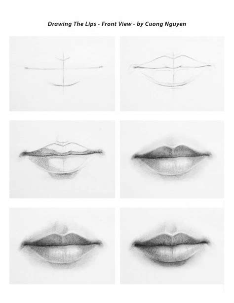 Draw female lips | Lips drawing, Realistic drawings, Drawing people