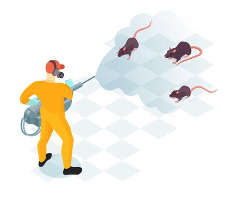 Get a Rat Exterminator to Solve Your Rodent Problems - Elite Home Ideas