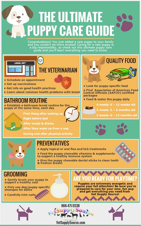 THE ULTIMATE PUPPY CARE GUIDE - J&B Pet Source