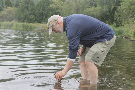 Recent testing at Lone Lake shows neurotoxin levels are 150 times over state limit | South ...