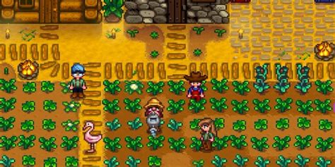 The Pros and Cons of Playing Stardew Valley in Co-Op