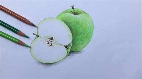 Green Apple Drawing Realistic