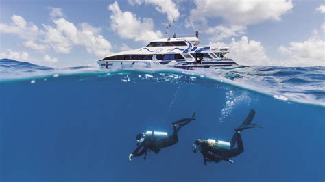 Great Barrier Reef - Honeymoon Scuba Divers...