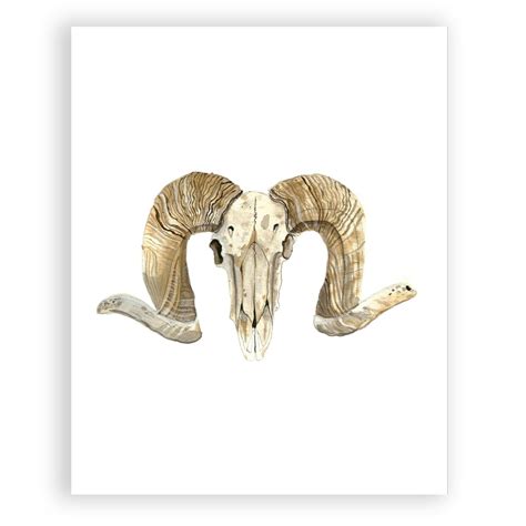 "Ram Skull" – Rachel Brown Art