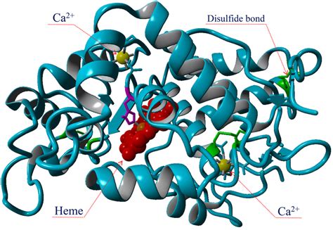 The three-dimensional structure of the horseradish (Armoracia ...