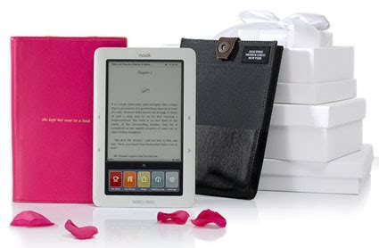 Barnes & Noble's Nook e-reader to hit stores - Legit Reviews