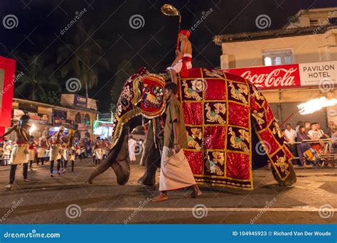 Elephant at the Esala Perahera Festival in Kandy Editorial Stock Photo - Image of dressing ...