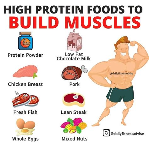 how much protein should i eat to build muscle female Protein for muscle gain; how much, when ...