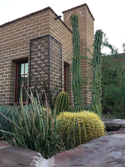 Xeriscape Phoenix | Landscapers - Arte Verde Landscaping