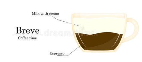 Vector Illustration of Coffee Recipe, Breve Recipe Stock Vector - Illustration of kitchen, cream ...