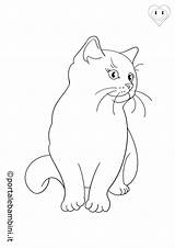Coloring Gatti Colorare Disegni Gatto Kucing Sketsa Warrior Bambini  sketch template
