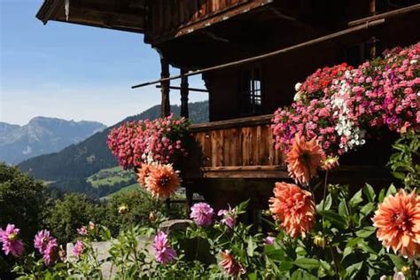 Alpbach in Summer: the Prettiest Village in Austria | Welove2ski