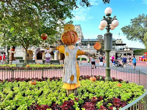 PHOTOS: Halloween Scarecrows & Jack-o'-Lanterns Installed in Magic ...