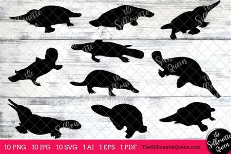 Platypus Silhouette Clipart Clip Art(AI, EPS, SVGs, JPGs, PNGs, PDF ...