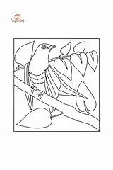 Oiseaux Coloriage Coucou Koekoek Vogel Disegno Uccello Colorare Oiseau  sketch template