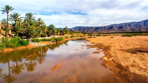 Sahara and Oasis | Afro Marrakech Tours – Marrakech Tourist Transport Agency