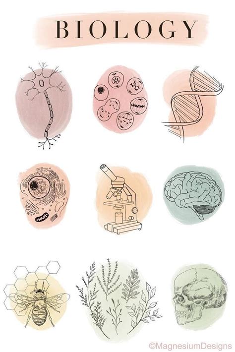 Biology Art, Biology Notes, Science Biology, Biology Drawing, Science Drawing, Printable ...