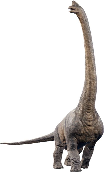 Brachiosaurus: Iconic and Majestic Dinosaur