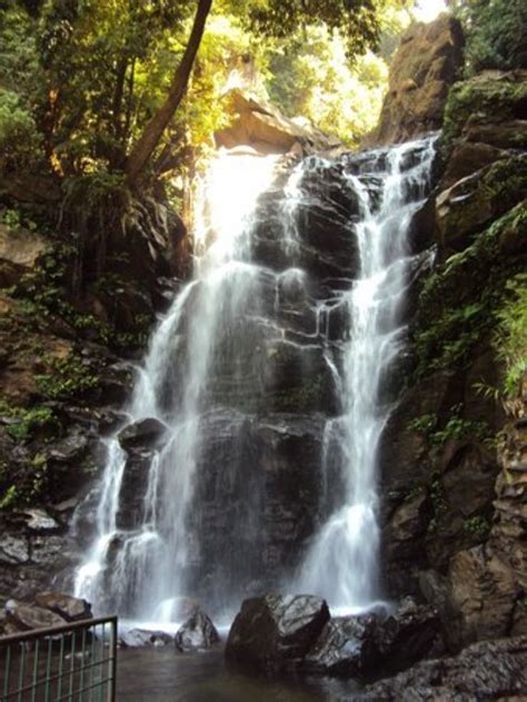 Hebbe Falls, chikkamagaluru, India - Top Attractions, Things to Do & Activities in Hebbe Falls