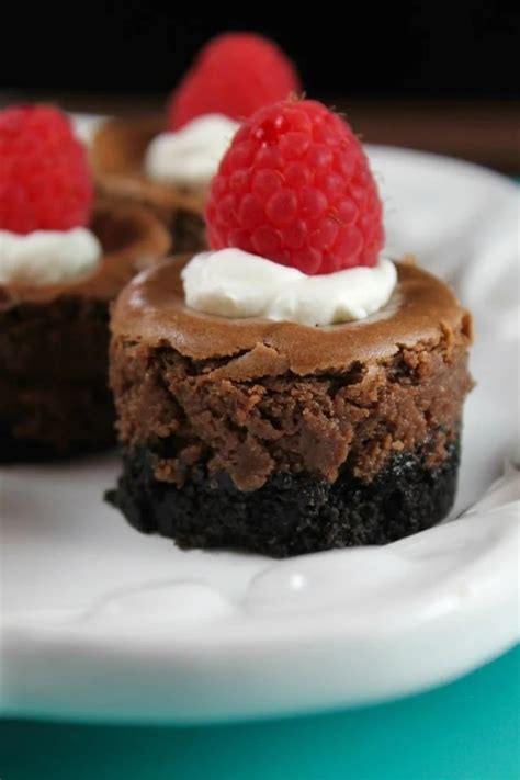 Mini Chocolate Cheesecakes {VIDEO} - Miss in the Kitchen