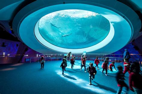 Miami Attractions and Activities: Attraction Reviews by 10Best