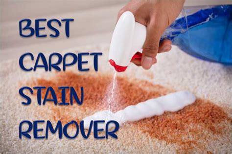 5 Best Carpet Stain Removers [Efficient and Bio-Friendly] - Household ...