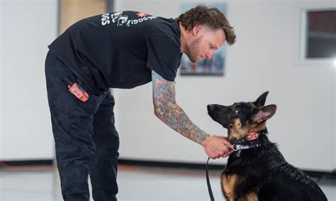 Saratoga County dog trainer Tom Davis appears on ‘Today’ – Cochrane Dog ...