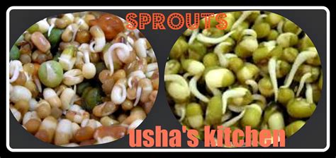 USHA'S KITCHEN: Sprouts are the germinated seeds| pulses