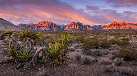 A cryptocurrency millionaire is buying up land in Nevada's desert to build a utopian village run ...