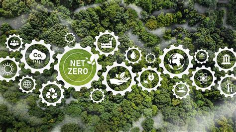 Understanding Net Zero Emissions: A Comprehensive Guide - Climate Carbon