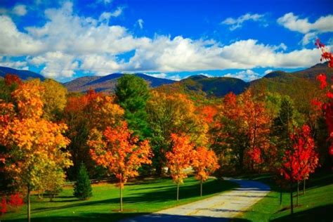 Dorset, Vermont - Charles Macintosh | Photo, Autumn leaves, Fall colors