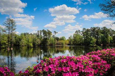 15 Best Things To Do In Sumter (SC) - Core Tourist