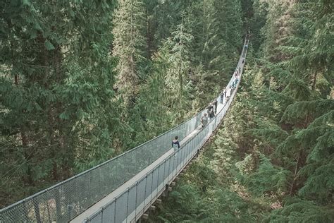 8 Capilano Suspension Bridge Facts to Know Before You Go - Rock a Little Travel