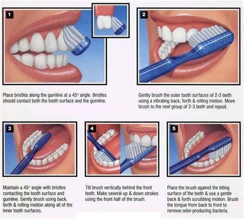 How to brush your teeth - Nathan wants a poster like the one at ...