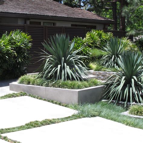 Modern Landscaping, Desert Landscaping, Landscaping Plants, Landscaping Ideas, Front Yard Garden ...