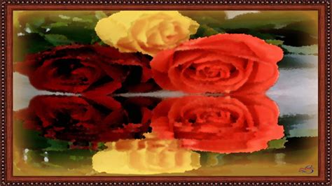 woda, kwiaty, 1080P, kolor, obraz, rose, nature and landscapes HD Wallpaper