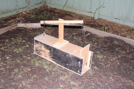 DIY Automatic Trap for Squirrels/ Rats/ Rabbits! : 3 Steps (with ...