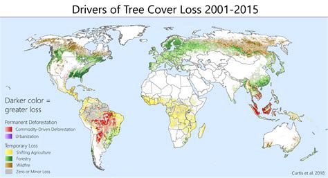 Deforestation Around The World Map - United States Map