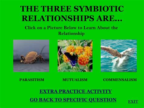 PPT - Symbiotic Relationships PowerPoint Presentation, free download - ID:2783697