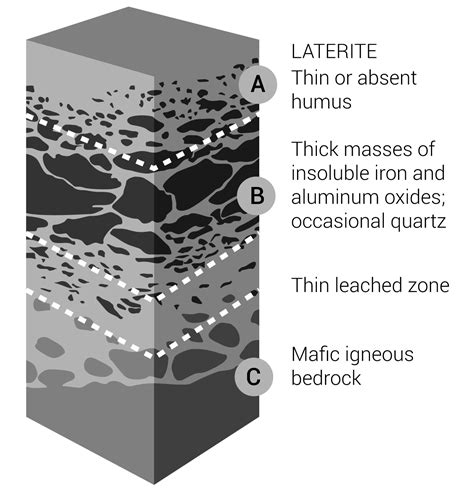 Laterite soils