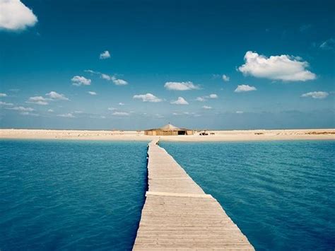 Djerba Island Tourism: Best of Djerba Island - TripAdvisor