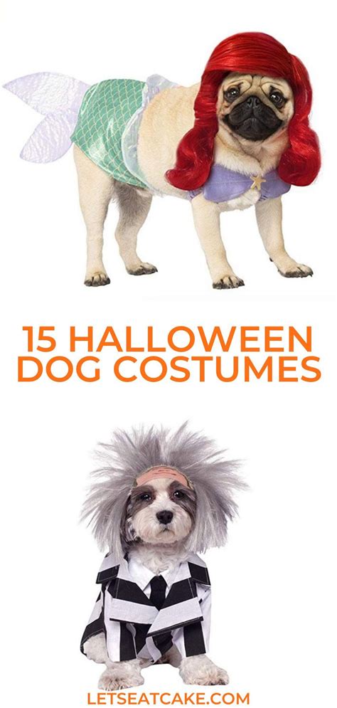 15 Funny Dog Costumes That’ll Make Everyone Say Yep You’re a Crazy Dog ...