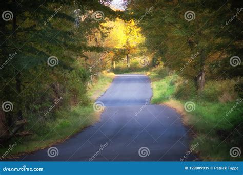 Country road in fall stock image. Image of skies, county - 129089939