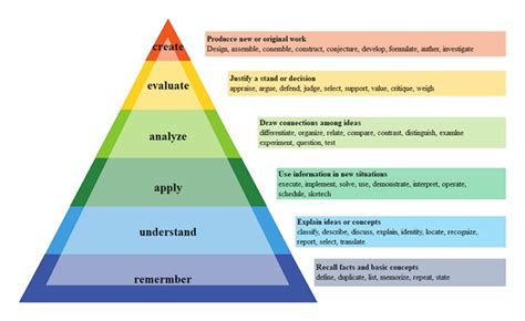 Human Taxonomy Chart